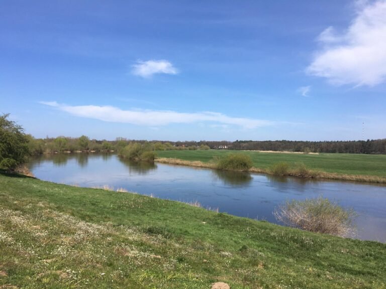 Ein Fluss, die grünen Allerwiesen und ein herrlich blauer Himmel.