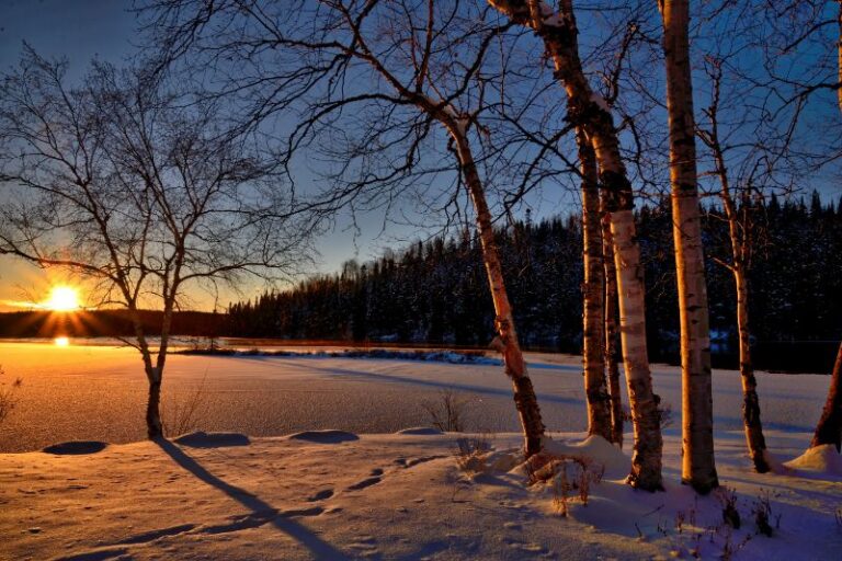Schneebedeckte Naturlandschaft im Winter bei Sonnenuntergang.
