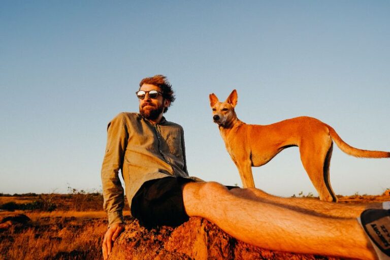 Urlaub mit Hund in der Natur des Aller-Leine-Tals.